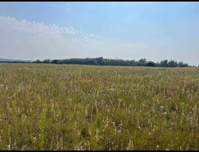 108,000M² VACANT LAND FOR SALE IN WONDERWATER